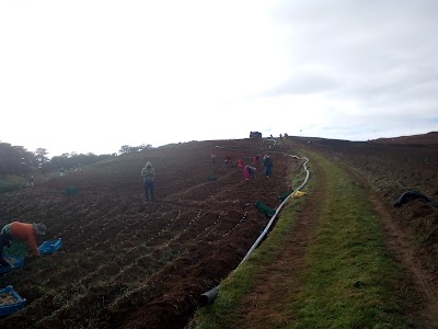 Photos of Government Seed Potato farm Seethaeliya