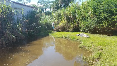 Photos of Skunk Ape Headquarters