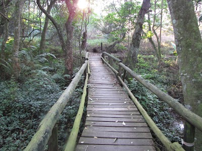 Photos of Glenholme Nature Reserve