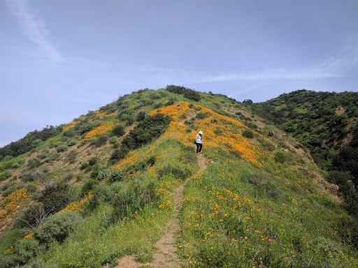 Modjeska Community Park Gallery - United States