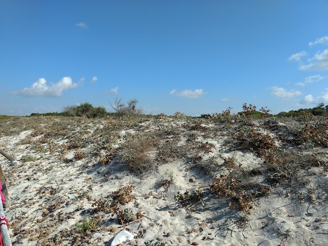 Playa el trenc
