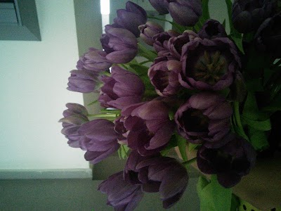 Photos of foryou.md