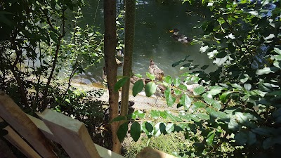 Photos of Villa Teo