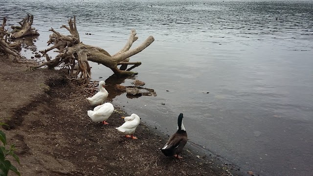 Lac de Nemi