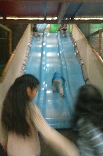 Photos of Jungle Playland