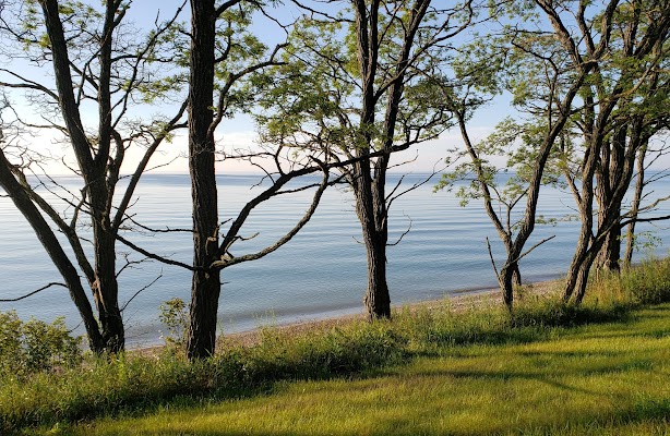 Clay Banks - Image 4