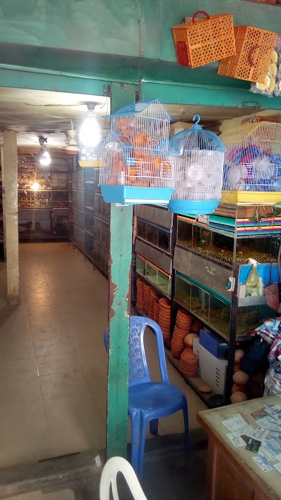 Photos of Tongi Bazar Bird Market