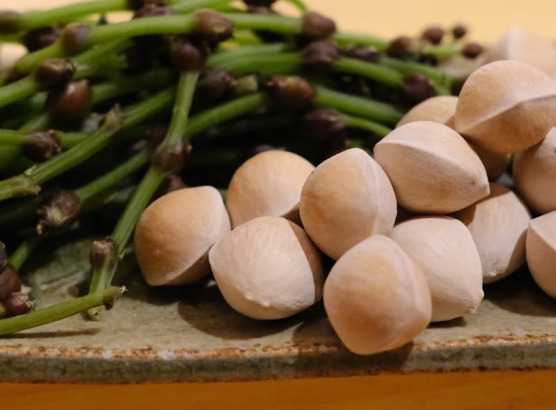 喰切料理 手打ち蕎麦 旬坊