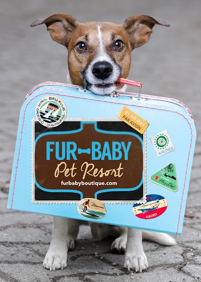 Fur Baby Pet Resort