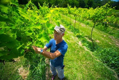 Railway Winery & Vineyards