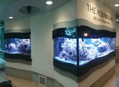 The Aquariums