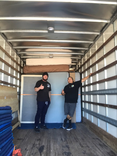 NewView Moving Phoenix - Visual