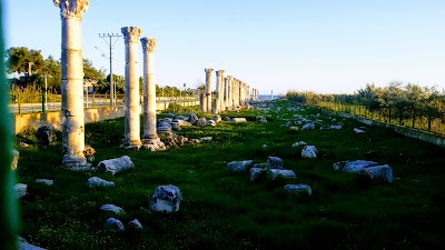 Soli Pompeiopolis Kazı Evi