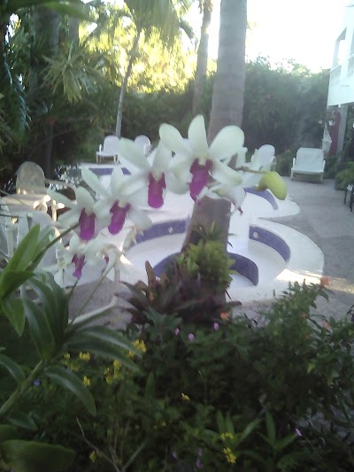 Photos of Las palmas