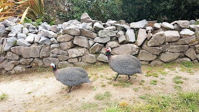 Photos of Wairakei Natural Thermal Valley