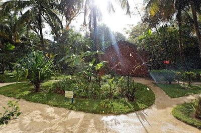 Photos of Le L&eacute;murien Gourmand