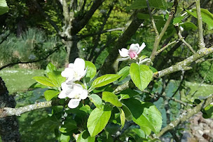 Photo n°9 de Les p'tites Normandes à Montsenelle (Magasin d'alimentation naturelle)