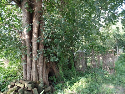 Photos of Shivabari More