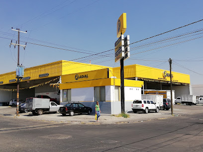 Foto de RADIAL LLANTAS Camionera