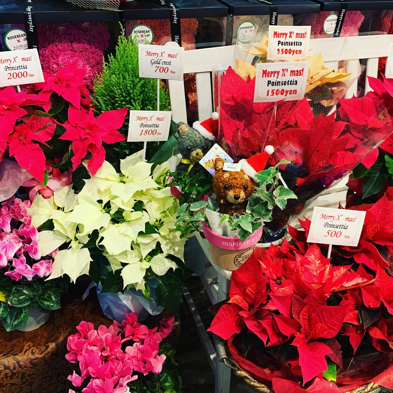 Biotop ビオトープ 心斎橋店 花屋