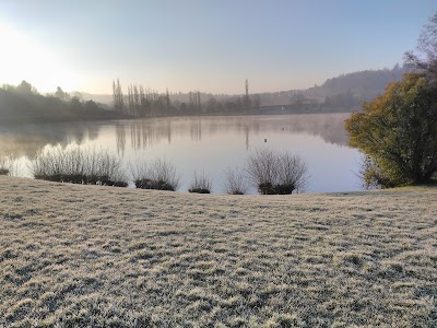 photo of Le Lac des Cygnes