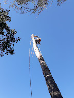 CIMES VERTES - Élagage - Abattage - Jardinage à Rocbaron