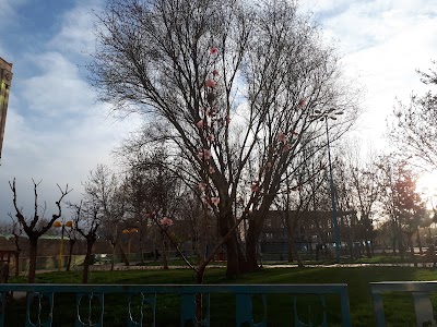 Photos of Payambare Azam Park