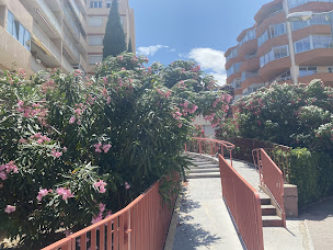 Photo n°5 de Joanna Yassine | Sophrologue spécialisée en Gestion du Stress et des Émotions à Perpignan (Praticien de médecine alternative)