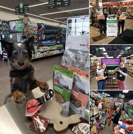 Pet Supplies Plus Baytowne - Thumbnail