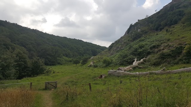 Hammershus Castle Ruins