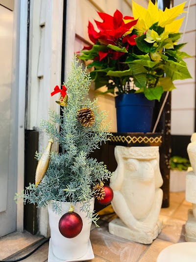 カフェテラス オズ