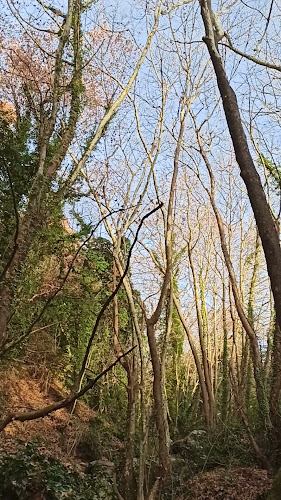 Επαρ.Οδ. Πορταριάς-Μακρινίτσας 16, Βόλος 370 11