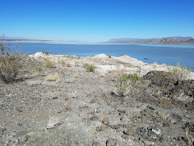 Rattlesnake Island