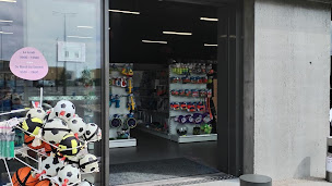 Photo n°3 de A Tout Chat et Chien Ifs à Ifs (Dresseur d'animaux de compagnie)