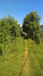 Photo n°29 de Écurie du Neu Prés à Granges-Aumontzey (Centre équestre)