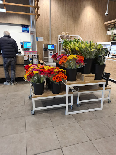 AH Troosterhof Gallery - Netherlands