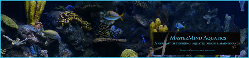 Mastermind Aquatics - Visual