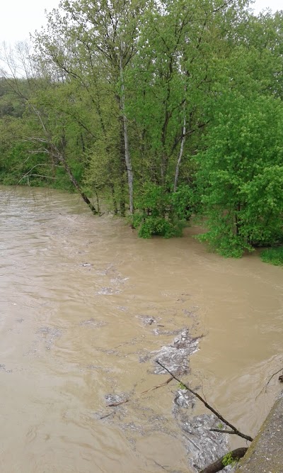 Photos of Camp Lenmary