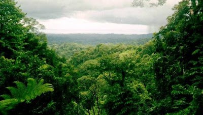 Photos of Osa Corcovado Tour and Travel