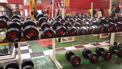 Photos of Metal Sport