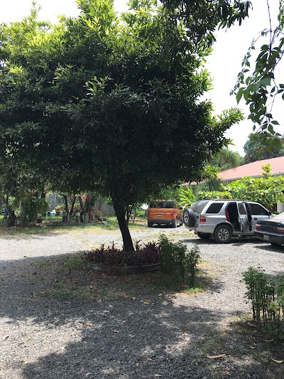Photos of Hotel Napoles