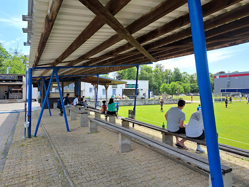RSV Germania 03 Pfungstadt - Thumbnail