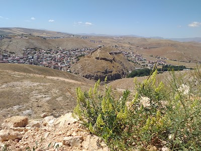 Bayburt Castle