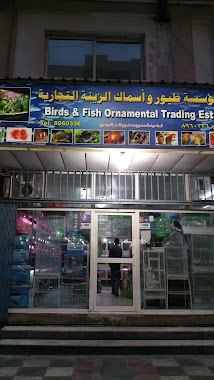 Birds & Fish Ornamental Trading Est, Author: M. Tamim