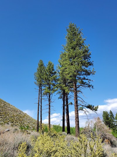 Kings Canyon Waterfalls