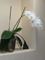 Photo n°5 de Gille Hervé à Le Lavandou (Peintre en bâtiment)