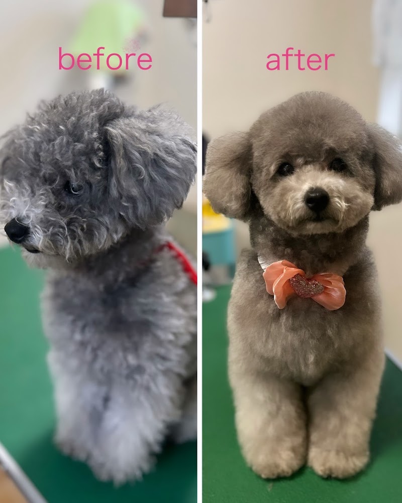 犬のシャンプー屋さん🐾moff