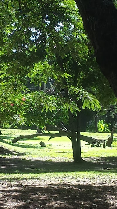 Photos of Alameda Oeste Park