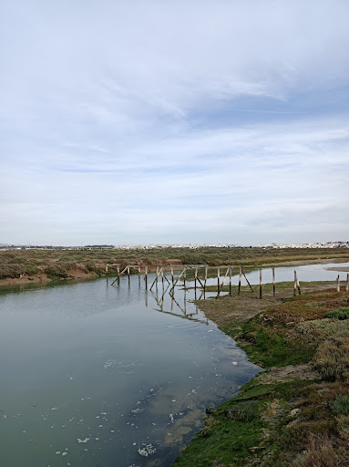 Molino de Pesca