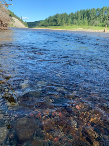 Rangeton Park - Visual